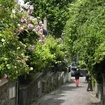Coup De Coeur Menilmontant *